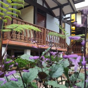 Casa Loma Cameron Highland