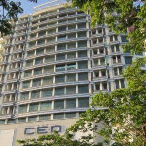 The CEO Duplex Studio Suite