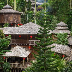 Fig Tree Hills Resort