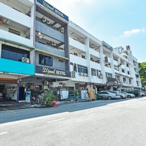 OYO 90585 D Pearl Hotel