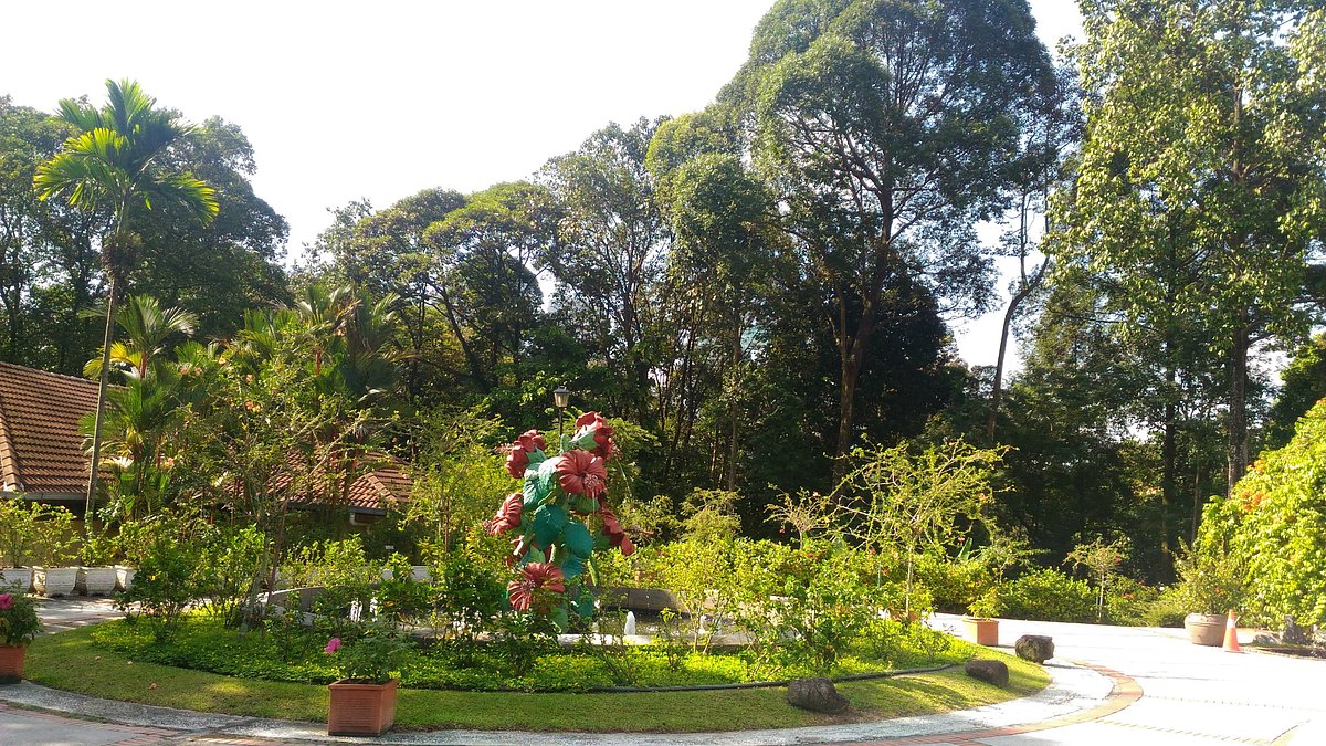 Aktiviti Menarik untuk Anak-anak di Taman Botani Perdana, KL