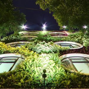 Flora by Crossroads Hotel