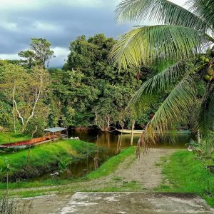 Mulu Diana Homestay