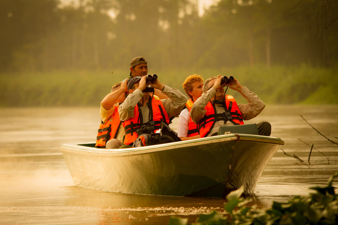Pengembaraan Hutan Hujan di Kinabatangan River: Panduan Lengkap Anda